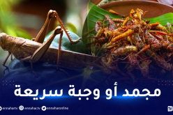 الجراد وجبة جديدة على مائدة الأوروبيين