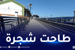 إضطراب في حركة سير القطارات بين الجزائر والبليدة اليوم