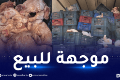 بومرداس: حجز أزيد من 3 قناطير من لحوم بيضاء وأحشاء فاسدة