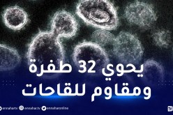 بوتسوانا.. المتحور الإفريقي الأخطر لكورونا يُقلق العالم