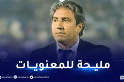 الكوكي: “نقاط شلغوم العيد مهة جدا للمعنويات”