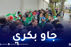 بالفيديو.. أنصار الخضر بكرولها وأجواء كبيرة في تشاكر