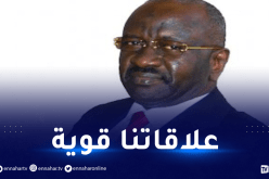 قصف المغرب لثلاثة جزائريين.. هكذا رد وزير الداخلية الموريتاني!