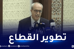 وزير البريد: القطاع مطالب بالتحديث ومواكبة التطورات المتسارعة