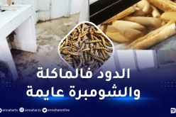 الإقامات الجامعية.. غرف عائمة ووضعية مزرية يعيشها الطلبة