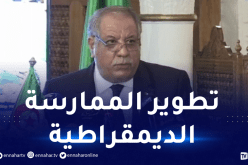 مستشار رئيس الجمهورية: الدولة لن تدخر أي جهد لإنجاح الإنتخابات المحلية