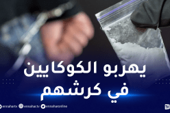 العاصمة: تفكيك شبكة دولية تُهرّب الهيرويين والكوكايين داخل أحشائها