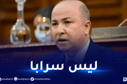 الوزير الأول.. الجزائر يمكنها بلوغ مستويات نمو دول مجموعة الـ20