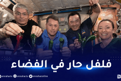 وكالة “ناسا” تنجح في زراعة وحصاد الفلفل الحار في مدار الأرض