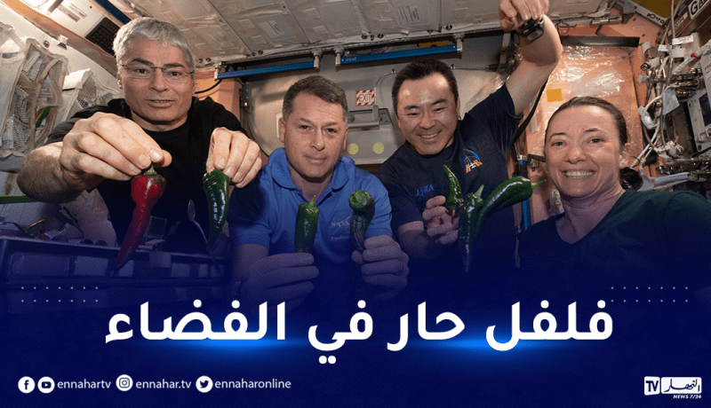 وكالة “ناسا” تنجح في زراعة وحصاد الفلفل الحار في مدار الأرض