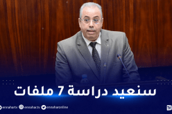 زغدار.. لم نمنح أي اعتماد لاستيراد السيارات وأغلب الملفات مرفوضة