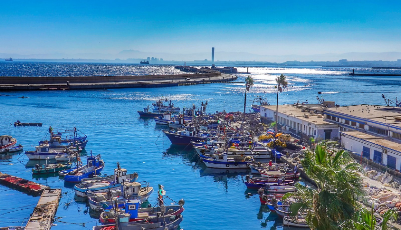 ميناء الجزائر يفوز بجائزة الربط بين الموانئ