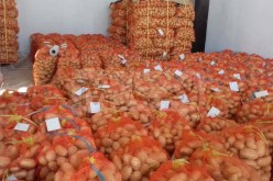 رزيق: ضخ كميات إضافية من البطاطا.. واستيرادها وارد كآخر حل