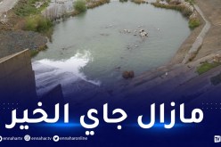 وزير الموارد المائية: هذه نسبة إمتلاء السدود بعد الأمطار الأخيرة