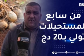 “فلاح من عين الدفلى: “حبست البطاطا ودورتها نبيع البقر.. ولي راه يستنا سعرها يولي 20دج مستحيل