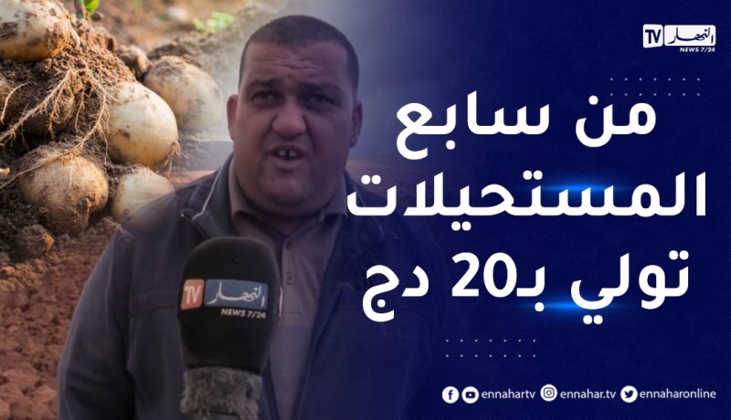 “فلاح من عين الدفلى: “حبست البطاطا ودورتها نبيع البقر.. ولي راه يستنا سعرها يولي 20دج مستحيل