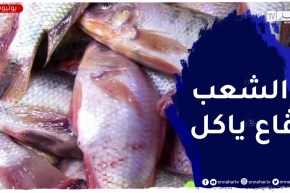 تسويق سمك “البلطي الأحمر” بـ 500دج لتعويض السردين خلال فصل الشتاء