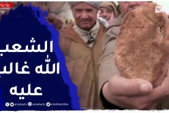 تيارت : بطاطا “مدودة” تغزو الأسواق ب70 دج وإقبال من ذوي الدخل الضعيف