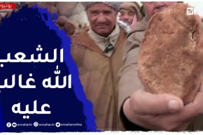 تيارت : بطاطا “مدودة” تغزو الأسواق ب70 دج وإقبال من ذوي الدخل الضعيف