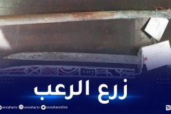 تيارت: درك تخمارت يضع حدا لعصابات الأحياء ويحجز أسلحة بيضاء وخمور