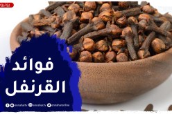 القرنفل مضاد حيوي فعال للعديد من الأمراض هذه فوائده وأضراره