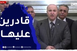 “الوزير الأول :” لن ندخر أي جهد حتى تصل الجزائر إلى مستوى نمو دول مجموعة العشرين