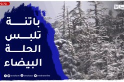 ثلوج بكميات معـتـــــــبرة عــــــــلى المرتفعات في ولاية باتنة