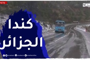 سوق أهراس .. تساقط الثلوج على مرتفعات منطقة أولاد إدريس