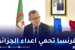 بلحيمر: فرنسا تسعى لتوظيف الإرهاب في الجزائر .. الشعب حفظ  جيدا درس العشرية السوداء