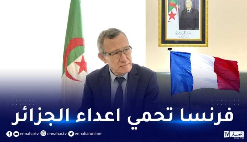 بلحيمر: فرنسا تسعى لتوظيف الإرهاب في الجزائر .. الشعب حفظ جيدا درس العشرية السوداء