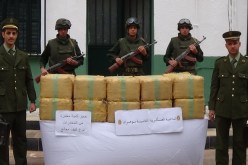 توقيف 18 بارون مخدرات وحجز 12 قنطار زطلة عبر الحدود مع المغرب