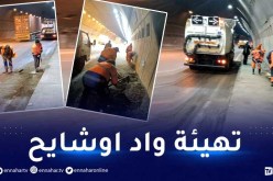 وادي أوشايح.. والي العاصمة يأمر بتهيئة النفق بصفة دورية والحفاظ على نظافته