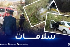 الشلف.. سقوط شجرة على سيارة أجرة بحي الشرفة