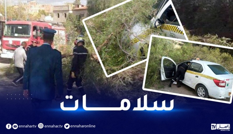 الشلف.. سقوط شجرة على سيارة أجرة بحي الشرفة