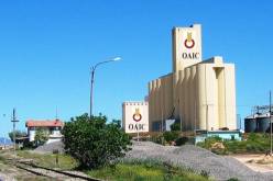 ديوان الحبوب: فتح مسابقة داخلية للكفاءات الجامعية والمهندسين