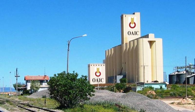 ديوان الحبوب: فتح مسابقة داخلية للكفاءات الجامعية والمهندسين