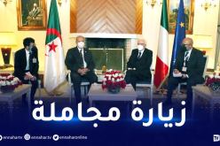 قوجيل يجري زيارة مجاملة للرئيس الإيطالي