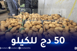 تسويق البطاطا المخزنة عبر 18 ولاية