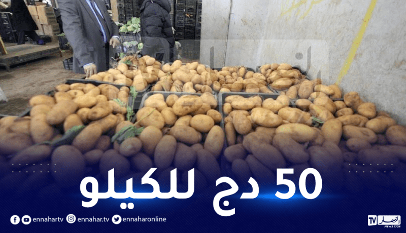 تسويق البطاطا المخزنة عبر 18 ولاية
