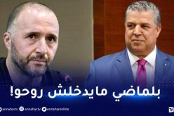 عمارة: “الكوتشينغ سيكون من نصيب بوقرة وبلماضي سيكون كمستشار فقط”