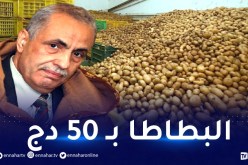 البطاطا بـ 50 دينارا بداية من الأسبوع المقبل