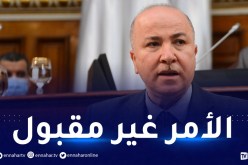 الوزير الأول: حجم الإستثمار الأجنبي لم يتعدى 1.3 في السنة