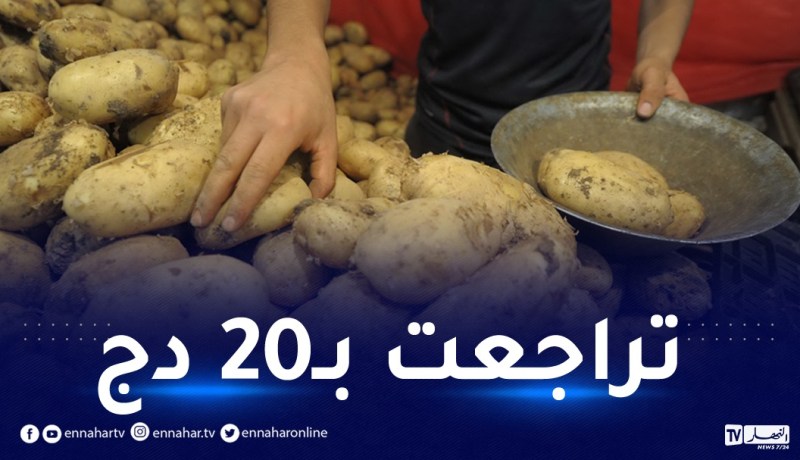 تجار الجملة يتوقعون تراجع أسعار البطاطا هذا الأسبوع