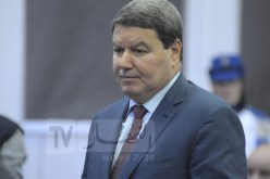 مراد هامل: كل أموالي مشروعة وتحصلت على محل عدل من عند الدولة فقط