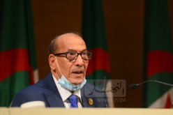 فنيش: المحامون مدعوون بشكل أكبر لإثارة الدفع بعدم الدستورية