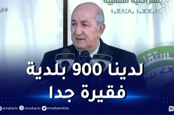 الرئيس تبون: مراجعة جذرية للجماعات المحلية سنة 2022