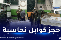 درك بومرداس يوقف شخصين يقومان بسرقة الكوابل النحاسية