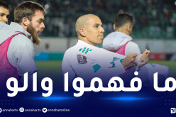 بسبب الجزائر.. فيغولي يصدم الأتراك