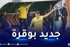 بوقرة يستنجد بلاعب بارادو لتعويض عبيد في كأس العرب