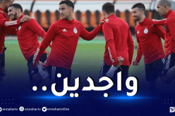 بالصور.. الحصة التدريبية الأخيرة للخضر قبل مواجهة جيبوتي